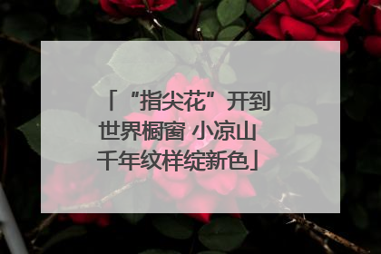 “指尖花”开到世界橱窗 小凉山千年纹样绽新色