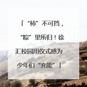 “柿”不可挡，“粽”望所归！徐汇校园用仪式感为少年们“充能”