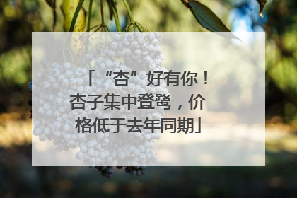 “杏”好有你！杏子集中登鹭，价格低于去年同期