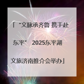 “文脉承齐鲁 携手赴东平” 2025东平湖文旅济南推介会举办