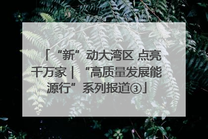 “新”动大湾区 点亮千万家｜“高质量发展能源行”系列报道③