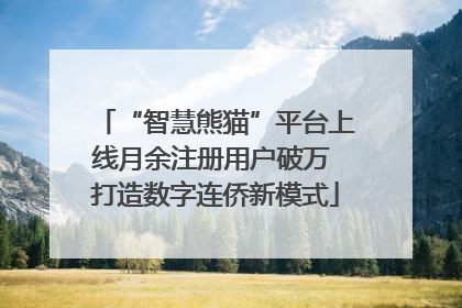 “智慧熊猫”平台上线月余注册用户破万 打造数字连侨新模式