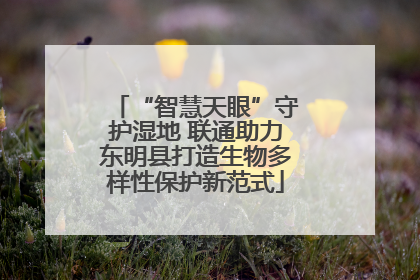 “智慧天眼”守护湿地 联通助力东明县打造生物多样性保护新范式