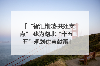 “智汇荆楚·共建支点” 我为湖北“十五五”规划建言献策