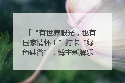 “有世界眼光，也有国家情怀！”打卡“绿色硅谷”，博主新解乐山｜网络名人四川行