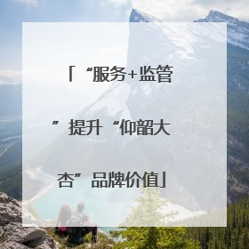 “服务+监管”提升“仰韶大杏”品牌价值