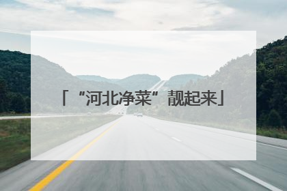 “河北净菜”靓起来
