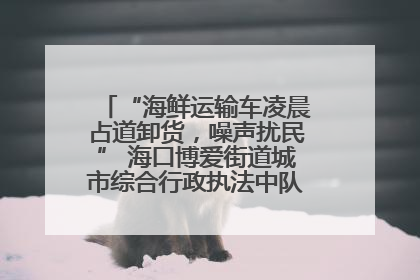 “海鲜运输车凌晨占道卸货，噪声扰民” 海口博爱街道城市综合行政执法中队：将联合交警加强长堤路一带巡逻