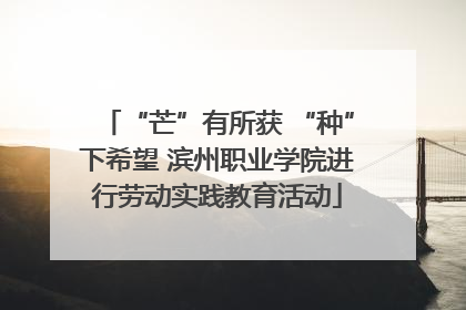 “芒”有所获 “种”下希望 滨州职业学院进行劳动实践教育活动
