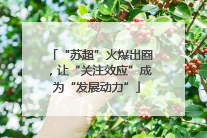 “苏超”火爆出圈，让“关注效应”成为“发展动力”