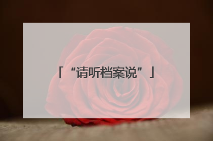 “请听档案说”