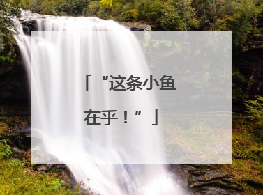 “这条小鱼在乎！”