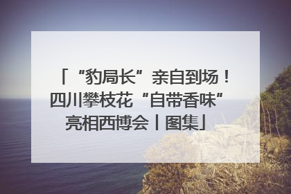 “豹局长”亲自到场！四川攀枝花“自带香味”亮相西博会丨图集