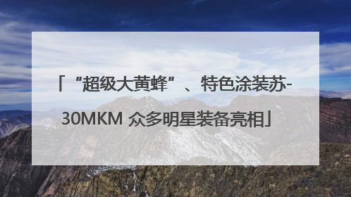 “超级大黄蜂”、特色涂装苏-30MKM 众多明星装备亮相