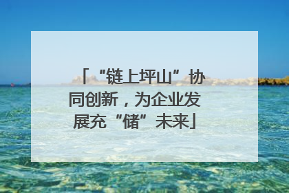 “链上坪山”协同创新，为企业发展充“储”未来