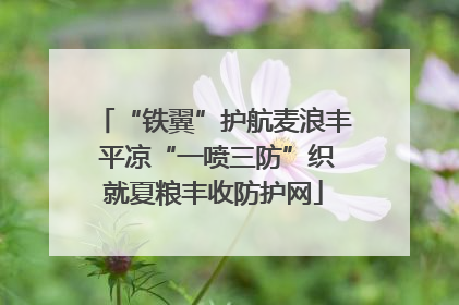 “铁翼”护航麦浪丰 平凉“一喷三防”织就夏粮丰收防护网