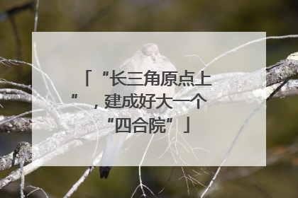 “长三角原点上”，建成好大一个“四合院”