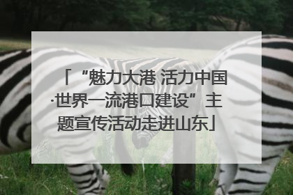 “魅力大港 活力中国·世界一流港口建设”主题宣传活动走进山东
