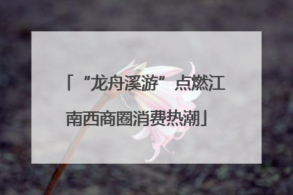 “龙舟溪游”点燃江南西商圈消费热潮