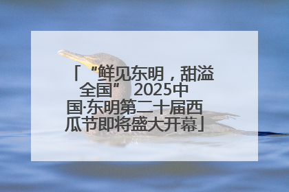 “鲜见东明，甜溢全国” 2025中国·东明第二十届西瓜节即将盛大开幕