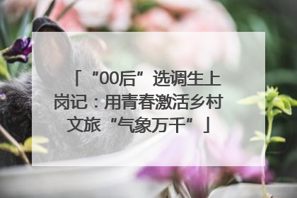 “00后”选调生上岗记：用青春激活乡村文旅“气象万千”