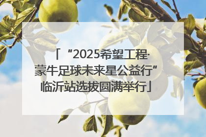 “2025希望工程·蒙牛足球未来星公益行”临沂站选拔圆满举行