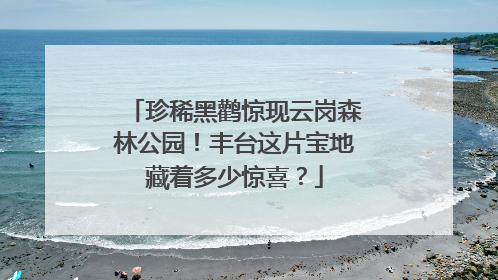 珍稀黑鹳惊现云岗森林公园！丰台这片宝地藏着多少惊喜？