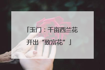 玉门：千亩西兰花开出“致富花”