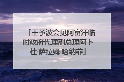 王予波会见阿富汗临时政府代理副总理阿卜杜·萨拉姆·哈纳菲