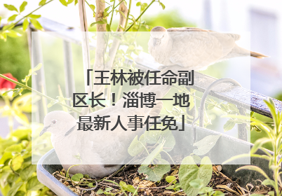 王林被任命副区长！淄博一地最新人事任免