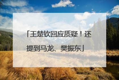 王楚钦回应质疑！还提到马龙、樊振东