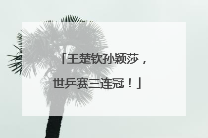 王楚钦孙颖莎，世乒赛三连冠！