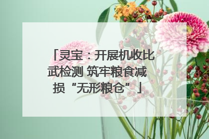 灵宝：开展机收比武检测 筑牢粮食减损“无形粮仓”