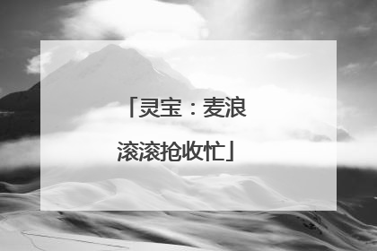 灵宝：麦浪滚滚抢收忙
