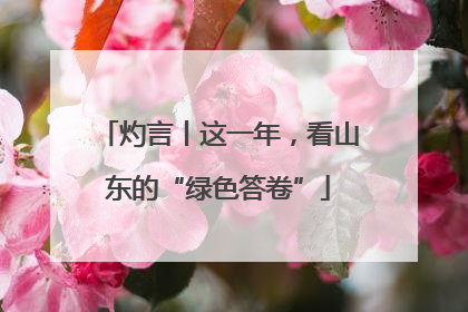 灼言丨这一年，看山东的“绿色答卷”