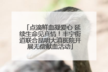 点滴鲜血凝爱心 延续生命见真情！丰宁街道联合昆明大滇医院开展无偿献血活动