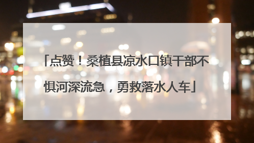点赞！桑植县凉水口镇干部不惧河深流急，勇救落水人车