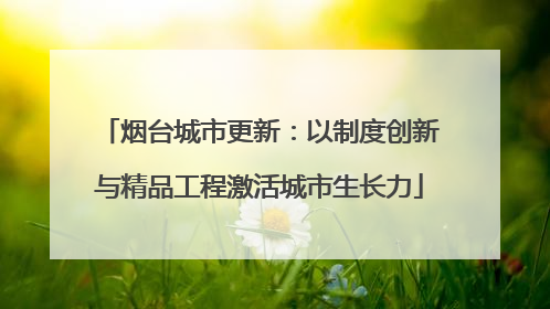 烟台城市更新：以制度创新与精品工程激活城市生长力