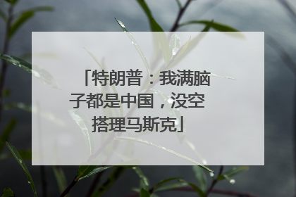 特朗普：我满脑子都是中国，没空搭理马斯克