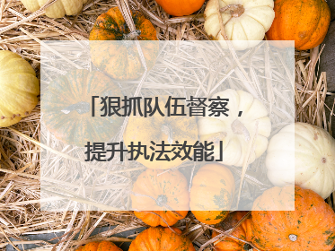 狠抓队伍督察，提升执法效能