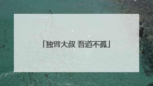 独臂大叔 吾道不孤