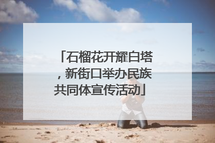 石榴花开耀白塔，新街口举办民族共同体宣传活动