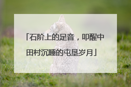 石阶上的足音，叩醒中田村沉睡的屯垦岁月