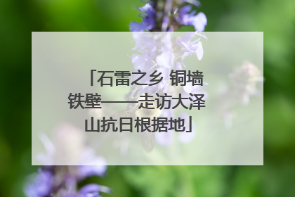 石雷之乡 铜墙铁壁——走访大泽山抗日根据地
