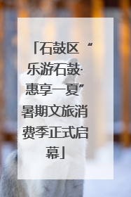 石鼓区“乐游石鼓·惠享一夏”暑期文旅消费季正式启幕