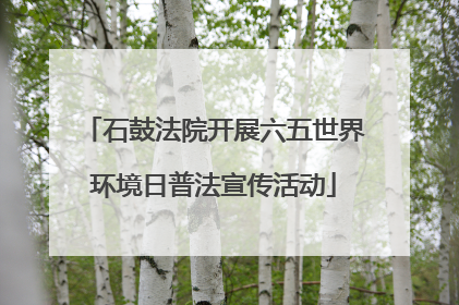 石鼓法院开展六五世界环境日普法宣传活动