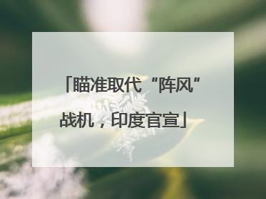 瞄准取代“阵风”战机，印度官宣