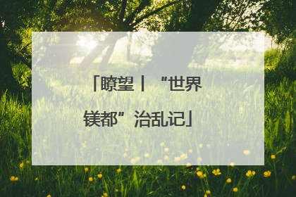 瞭望丨“世界镁都”治乱记