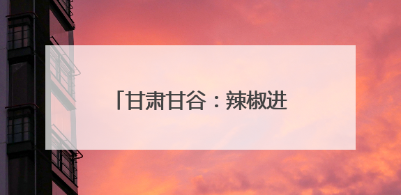 甘肃甘谷：辣椒进入开花挂果期 科学管护确保大田丰收
