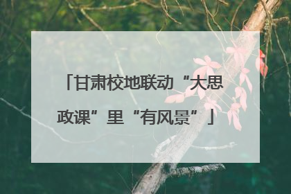 甘肃校地联动“大思政课”里“有风景”